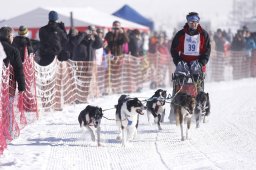 Lenk 2013